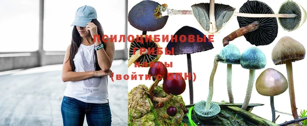 первитин Инта